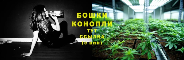 соль ск Липки