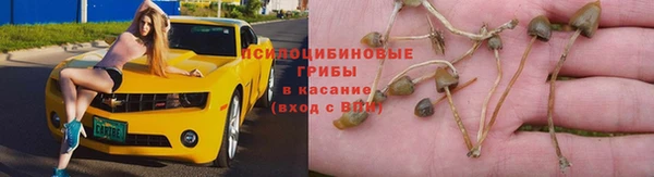 гашиш Ладушкин