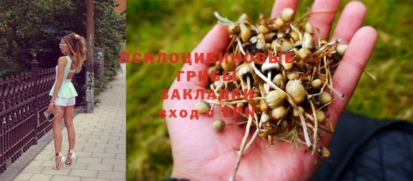 крисы Лабытнанги