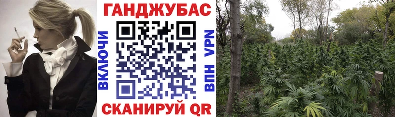 Бошки марихуана планчик дарнет шоп Томилино